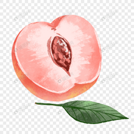51黑料APPAPP应用